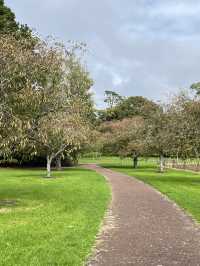 🌳 Cornwall Park: Auckland's Green Heart Where City Meets Serenity!  Escape into 425 acres of rollin