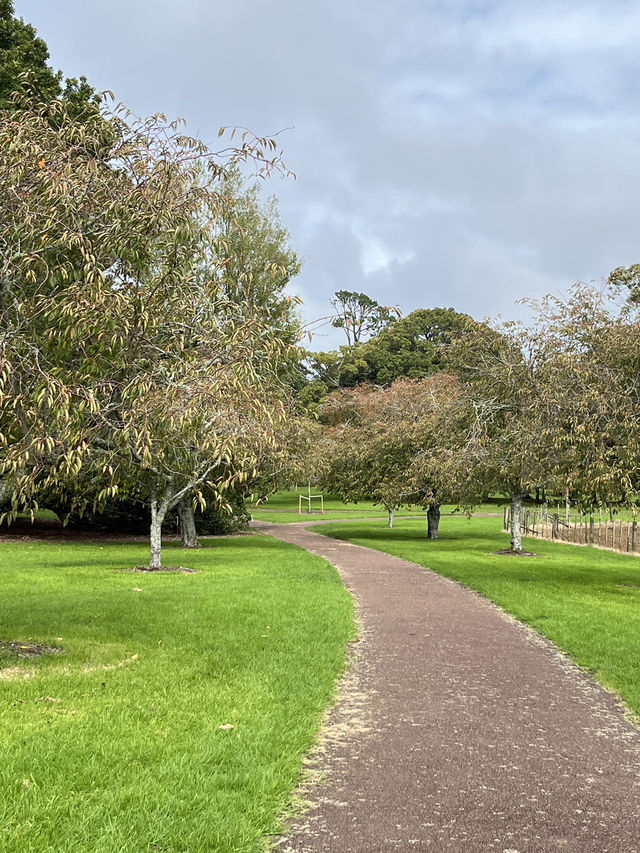 🌳 Cornwall Park: Auckland's Green Heart Where City Meets Serenity!  Escape into 425 acres of rollin