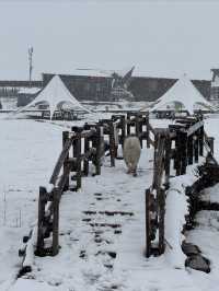 下雪的伊犁那拉提空中草原