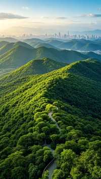 中山一日遊旅行攻略
