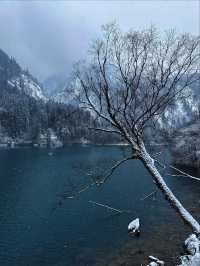 四姑娘山這波操作太浪漫！深秋的第一場雪美哭我
