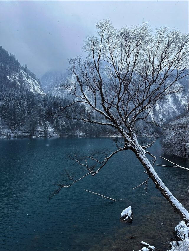 四姑娘山這波操作太浪漫！深秋的第一場雪美哭我