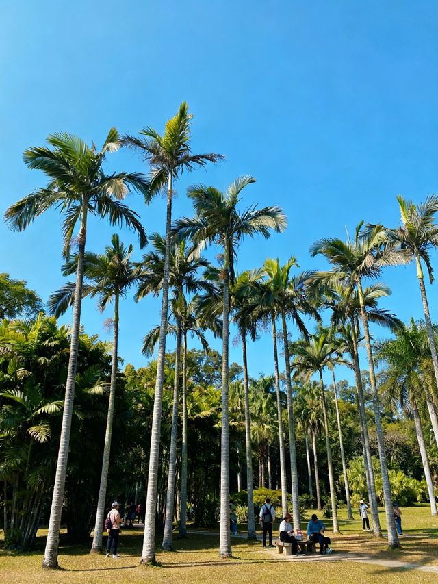 廈大白城沙灘：玩沙戲水的熱鬧地