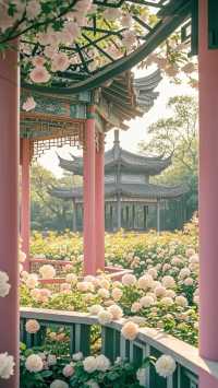 海陽花花山一日超值遊