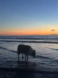 上海啟東｜週末看海吃不踩雷