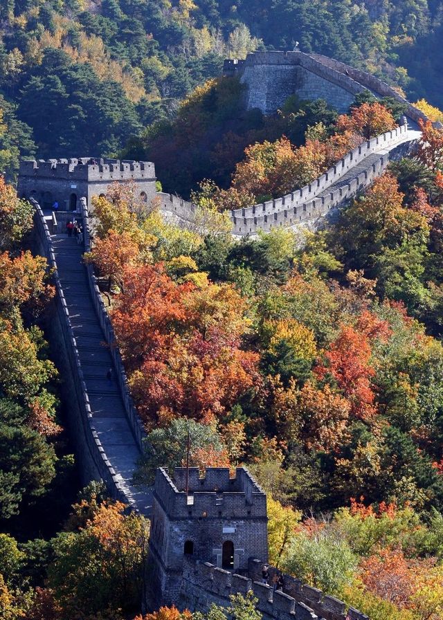 北平的秋