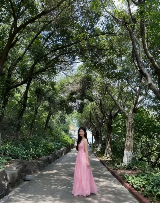 1 hour direct from Shenzhen! This mountaintop Buddhist temple is a stunning healing spot