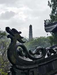 天台山秋意爆表！國清寺秋收盛景等你打卡