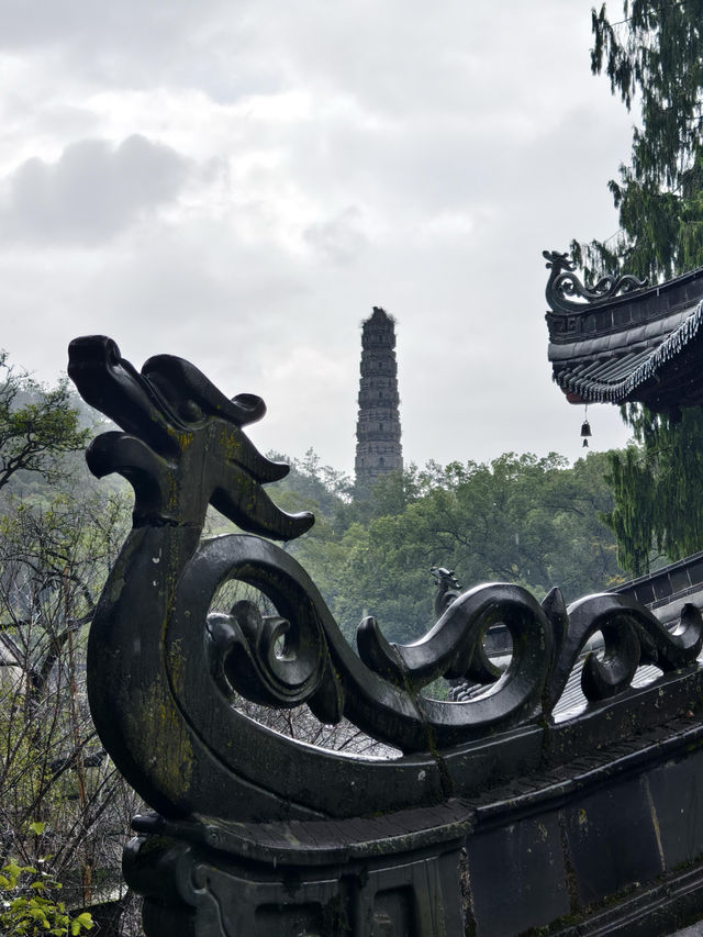 天台山秋意爆表！國清寺秋收盛景等你打卡