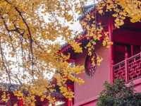 藏在鬧市的百年古寺，毗盧寺的寧靜與厚重，遠比想像中更動人