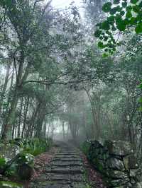 天台山茶香秋色遊