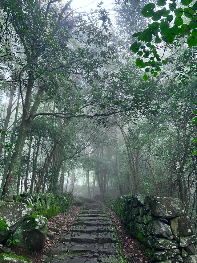 天台山茶香秋色遊