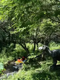 南京1h，在森林裡漂流、避暑、玩水