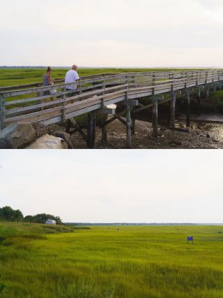 보스턴｜Cape Cod Bass Hole 습지 일몰