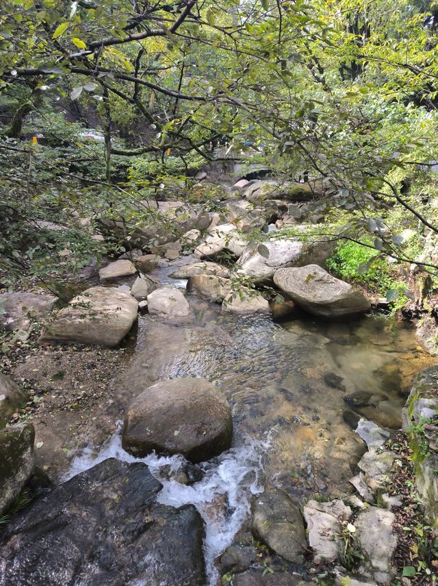 霧隱嵐山火燭幽