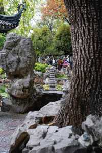 江南秋色藏留園讓人忍不住愛了又愛!