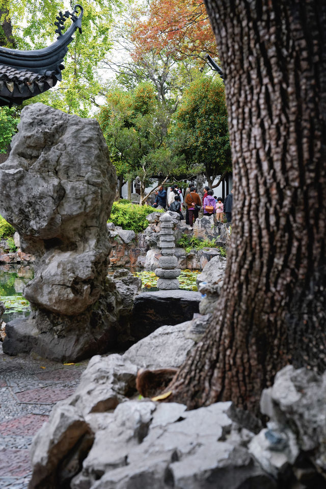 江南秋色藏留園讓人忍不住愛了又愛! 江南秋色藏留園讓人忍不住愛了又愛!