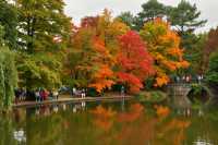 雲平山賞秋全攻略｜上帝最愛的調色板就在這裡！