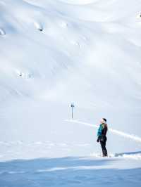 秋天的阿爾山,美到窒息!這份童話之旅一定要去!