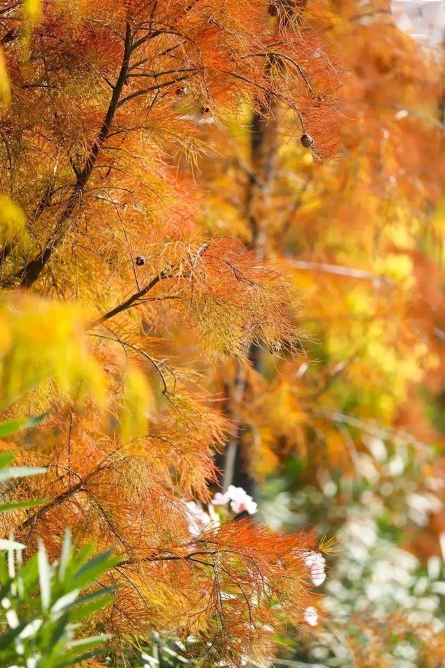 湛江這家酒店太溫馨了 湛江這家酒店太溫馨了