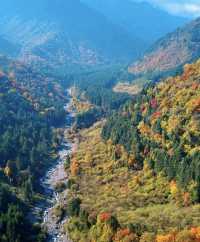藏在川北的秘境！平武彩林+古寨+瀑布，5天承包深秋浪漫