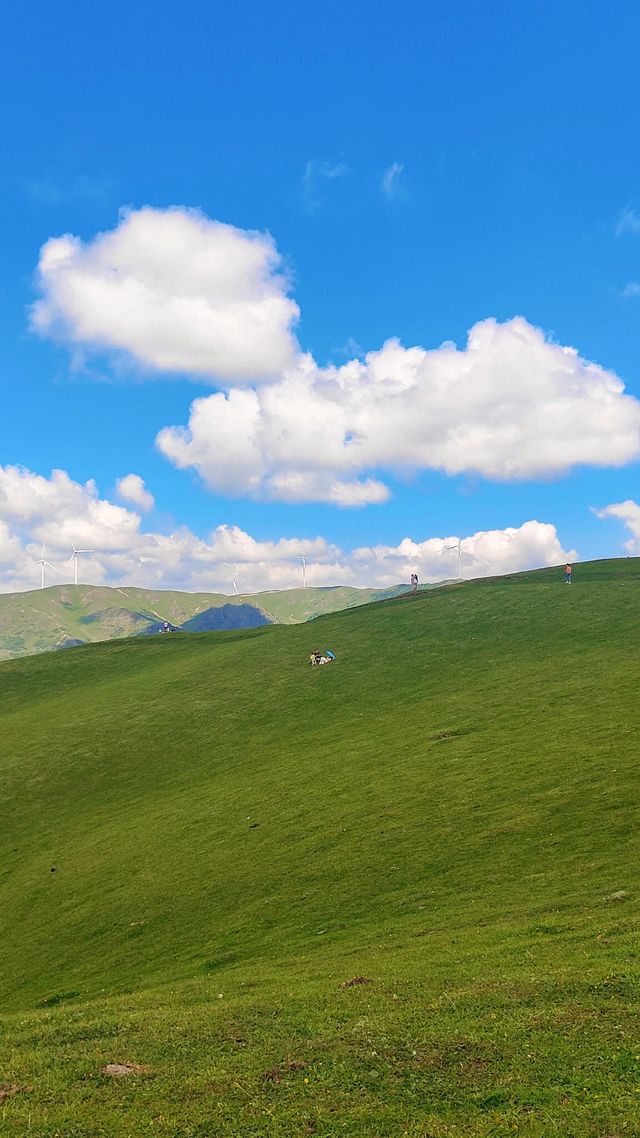 天水張家川平安草園：一場心靈與自然的完美邂逅