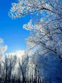 雪染峽谷,軒暖歸途