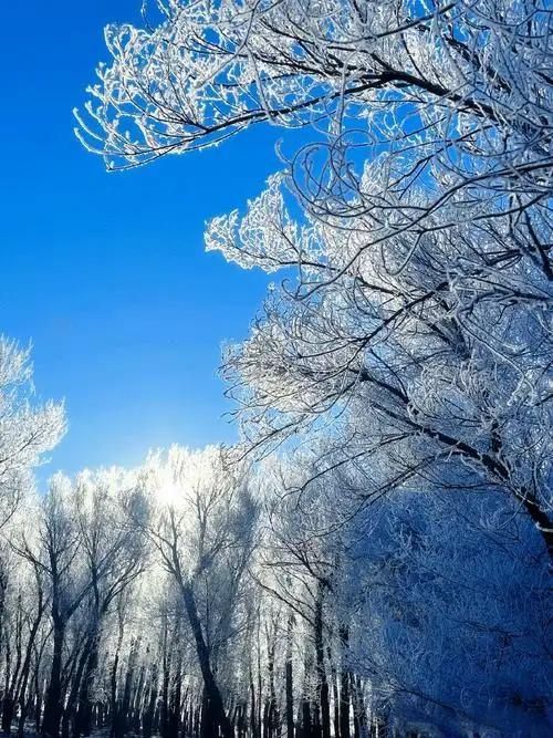 雪染峽谷,軒暖歸途 雪染峽谷,軒暖歸途