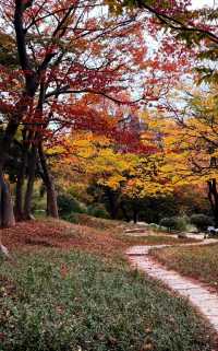 落葉、靜謐與時光感