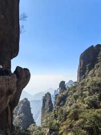 聽我的，不費腿看美景