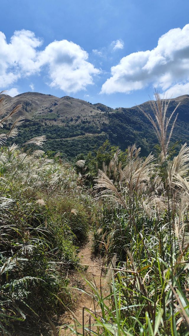 廣東版武功山|惠州大南山徒步攻略