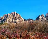 被這座山東秘境美到失語！誰說煙台只有海？藏在棲霞的天崮山簡直是大自然的鬼斧神工！喀斯特地貌+