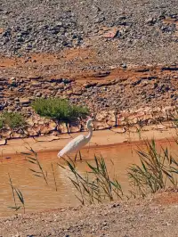 哈密大海道 神秘又浪漫