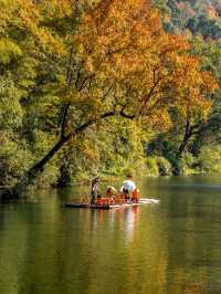 以為皖南的秋天夠美了，直到我去了趟婺源！
