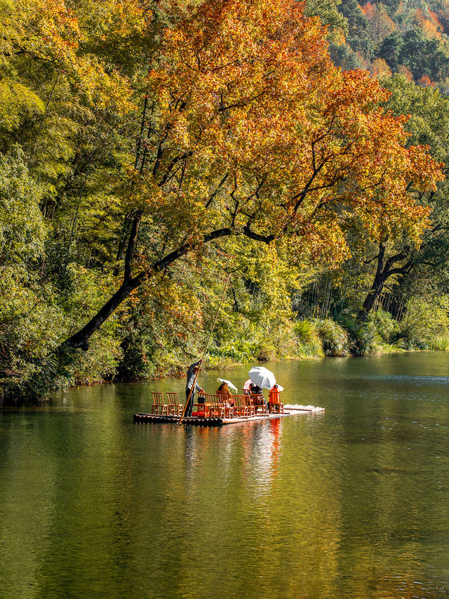 以為皖南的秋天夠美了，直到我去了趟婺源！