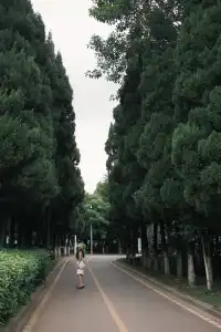 11月的西昌|環海騎行電動車解鎖隱藏觀景點