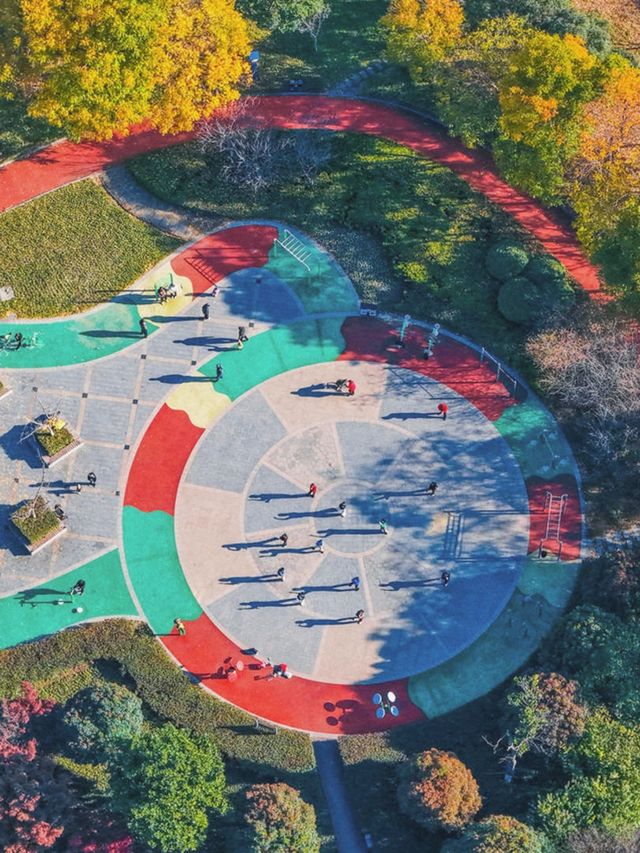 泗洪2天1夜|城東生態公園秋意濃! 泗洪2天1夜|城東生態公園秋意濃!