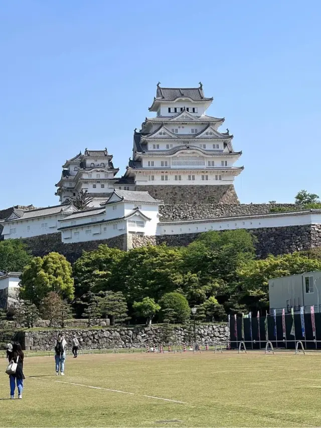 必打卡的國寶5城!姬路城絕美白鷺驚豔世界