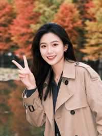 秋天的喀納斯，隨手一拍都是壁紙