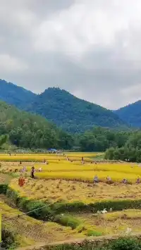 秋日國清寺:在千年古剎尋一份靜謐