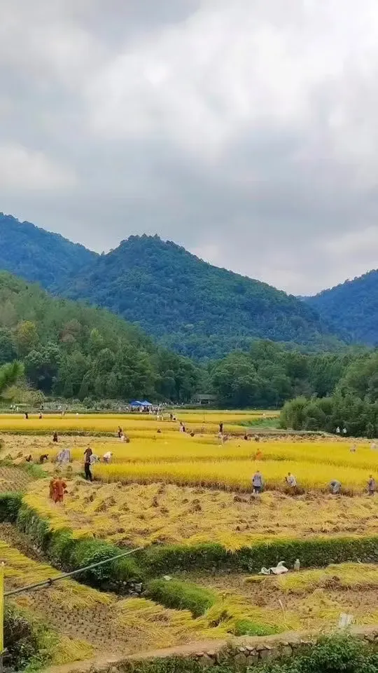 秋日國清寺:在千年古剎尋一份靜謐 秋日國清寺:在千年古剎尋一份靜謐