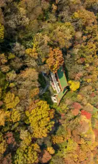 暮秋風起染金陵 我拍到一整個南京的秋天