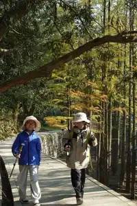 紹興柯橋雪竇嶺親子徒步