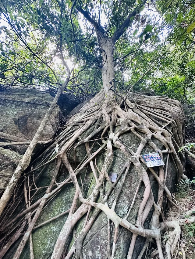 每週一山｜藏在江門的治癒系神山！