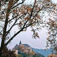 莫干山風景區攻略:一場穿越百年別墅群的清涼竹海深呼吸