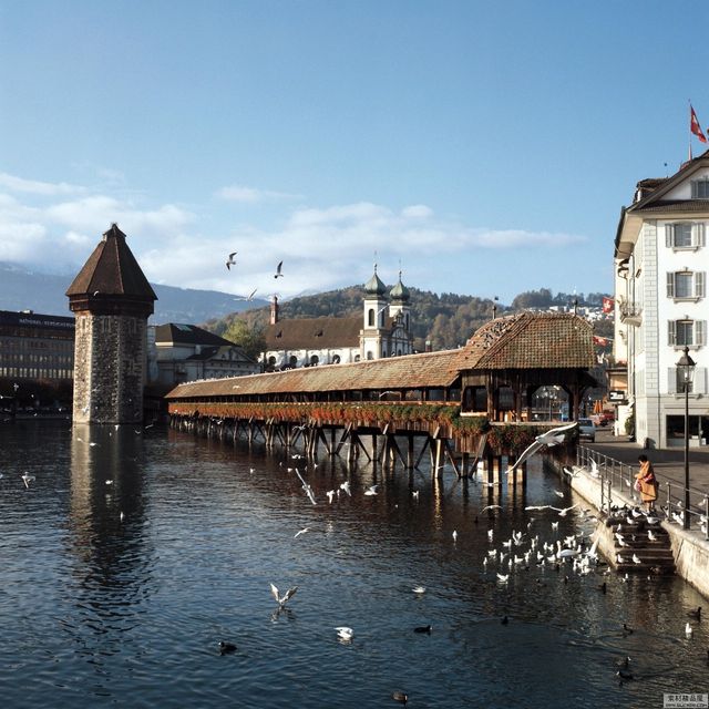 德國3日遊必打卡攻略 德國3日遊必打卡攻略