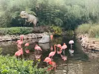 北京大興野生動物園-值得N刷