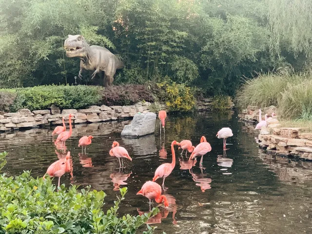 北京大興野生動物園-值得N刷