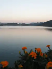 ｜抓住一個出門溜溜就好開心的濃濃