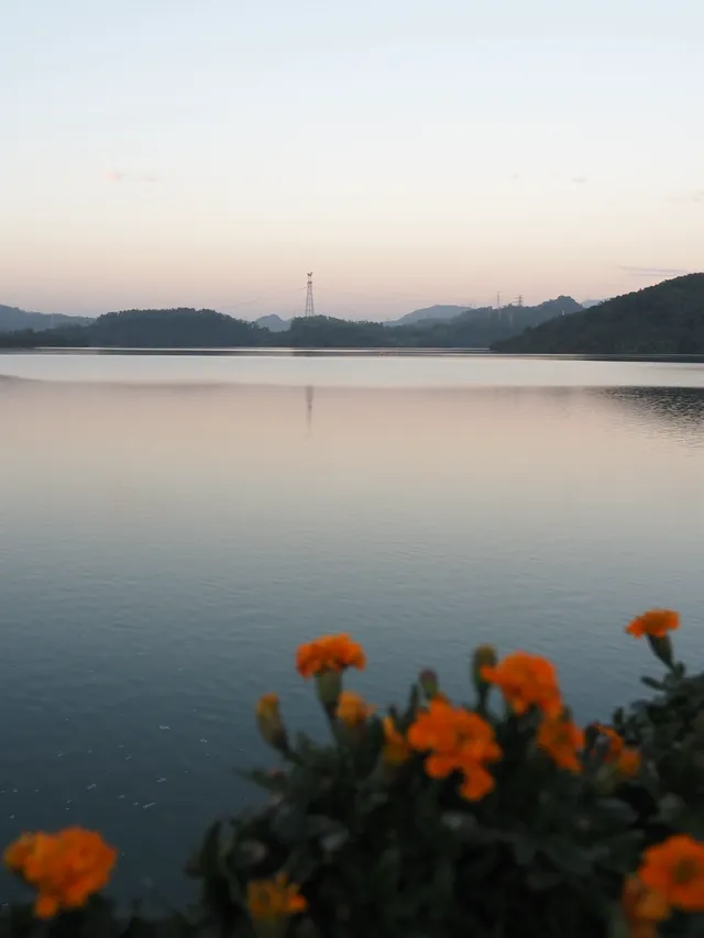 ｜抓住一個出門溜溜就好開心的濃濃